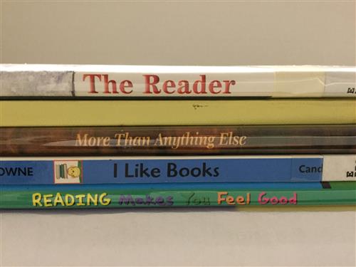 The Reader 